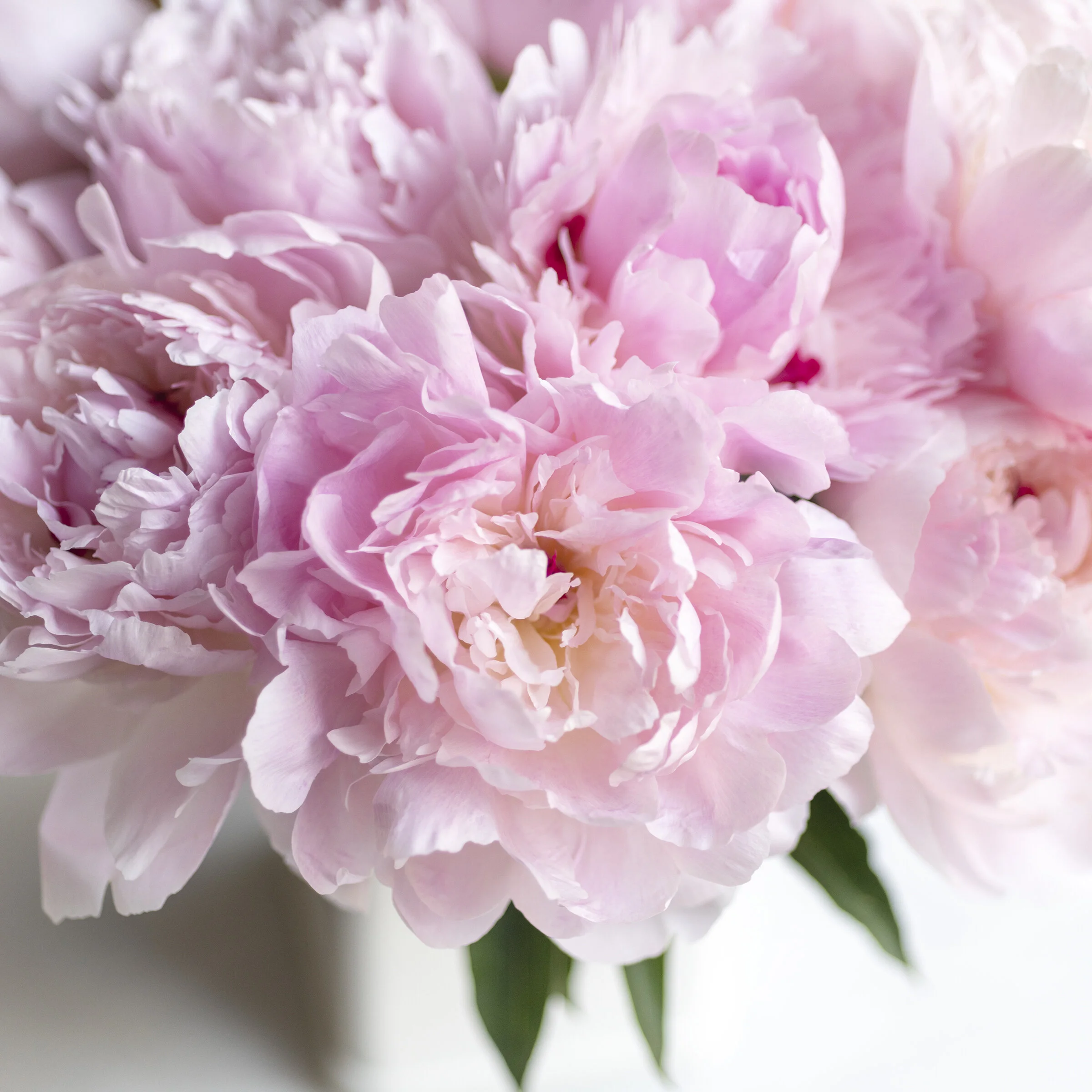 Finding the Beauty in our Everyday Lives