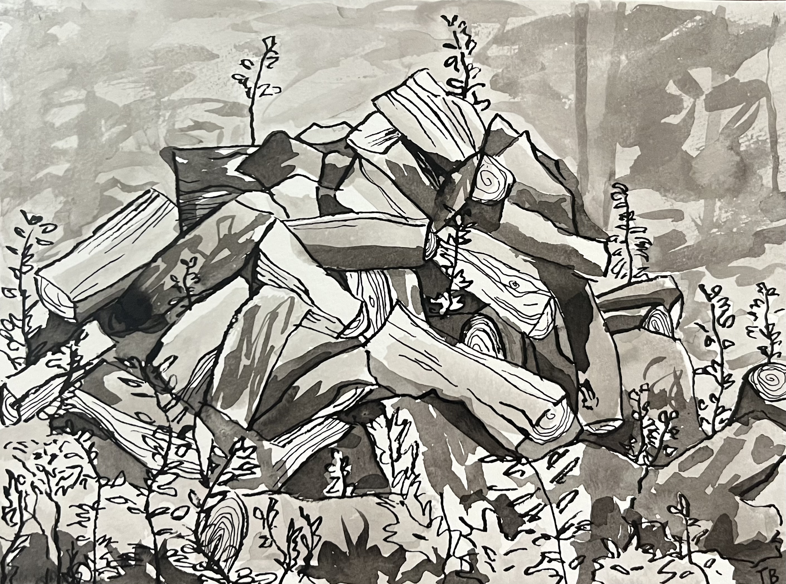 "the most wondrous products of four billion years of life," pen and ink on paper, 2025