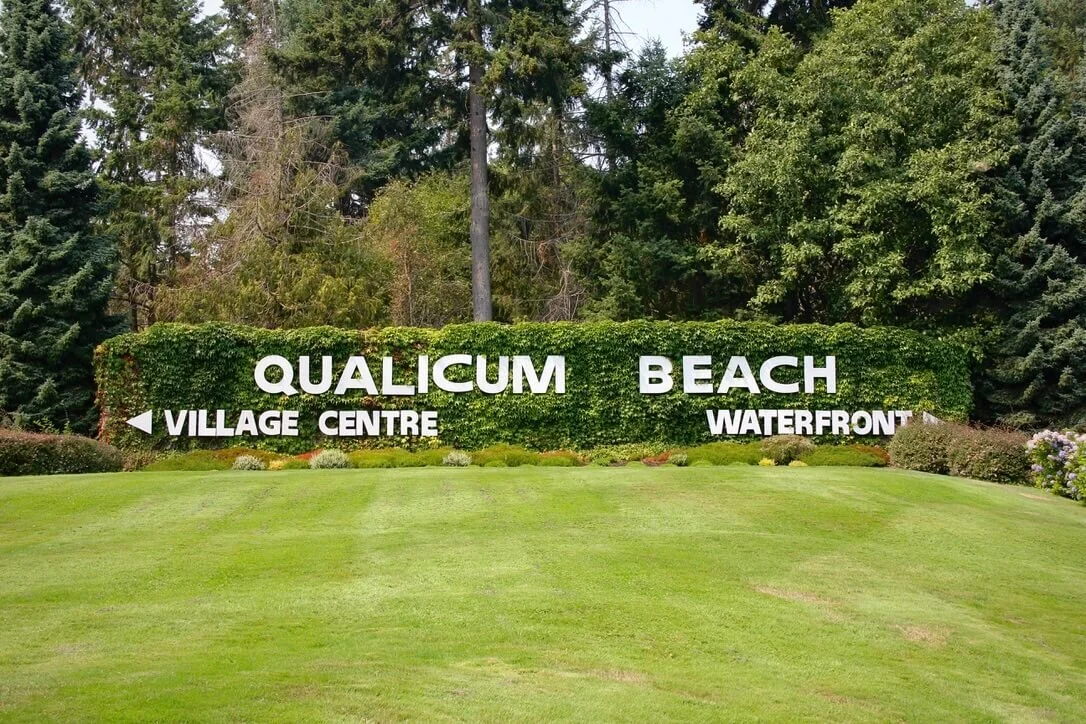 196B276E-56A9-402E-840F-5E2ABB73394D_1_105_c (1).jpeg