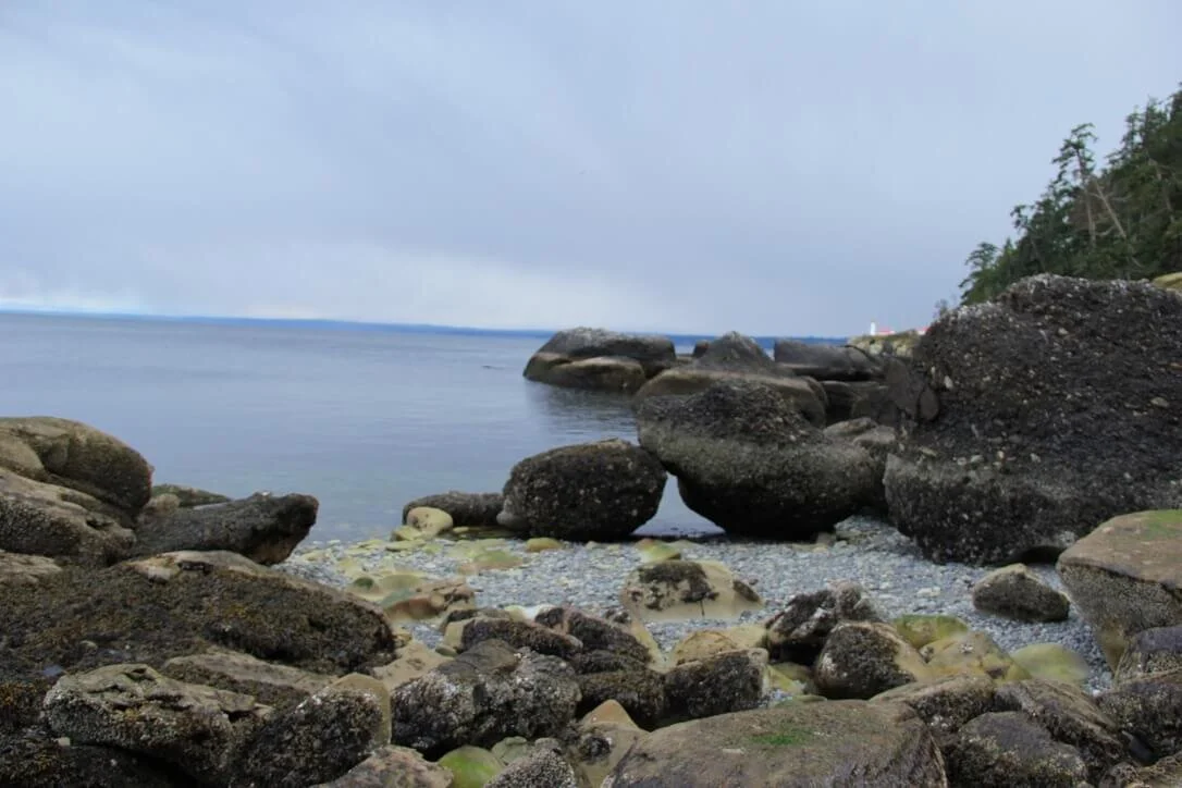 78C5112A-93F6-4ECC-AE5F-1C69D0288C3E_1_105_c (1).jpeg