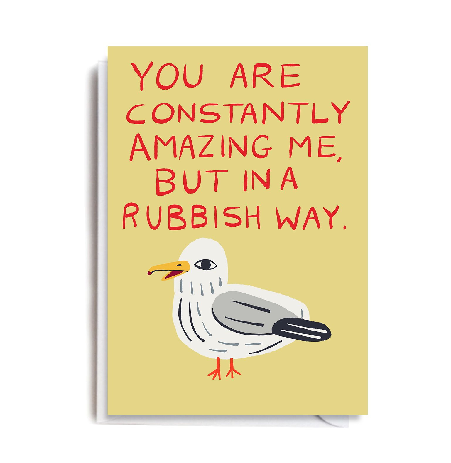 JA3010-Seagull-Amazing.jpg