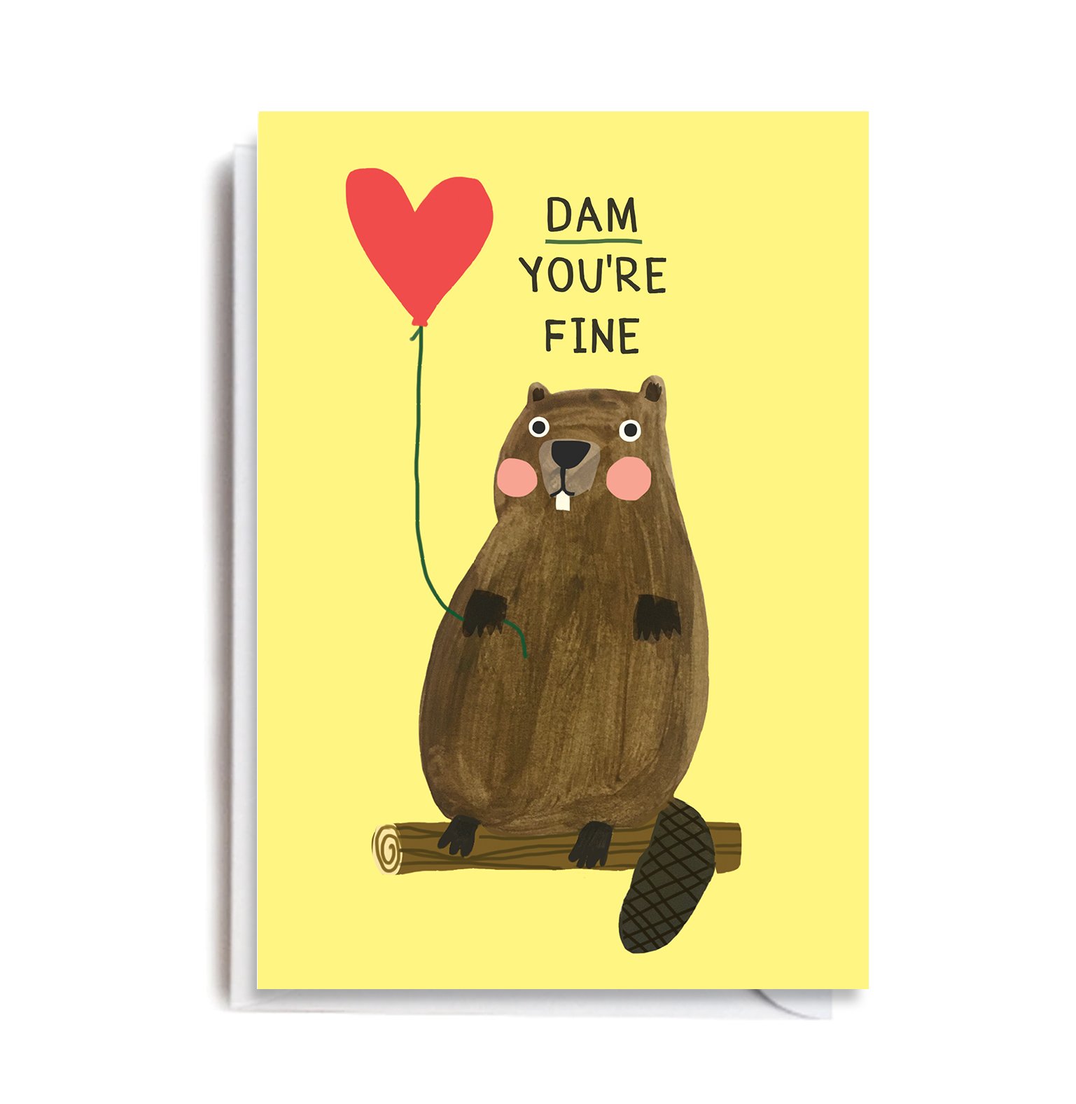 DO101-Dam-Otter-a6.jpeg
