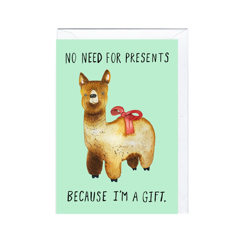 JA2147 LLAMA GIFT