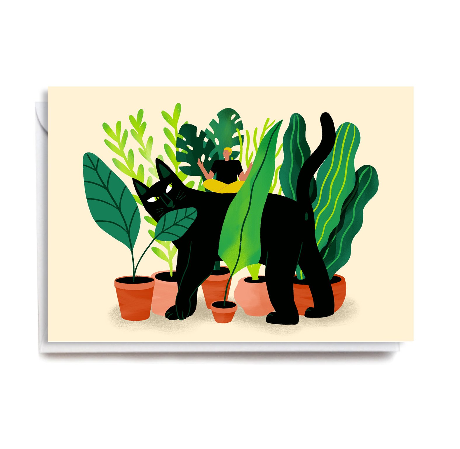 ANA115 PLANT CAT