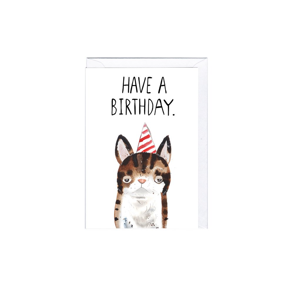 JA2114 BIRTHDAY CAT