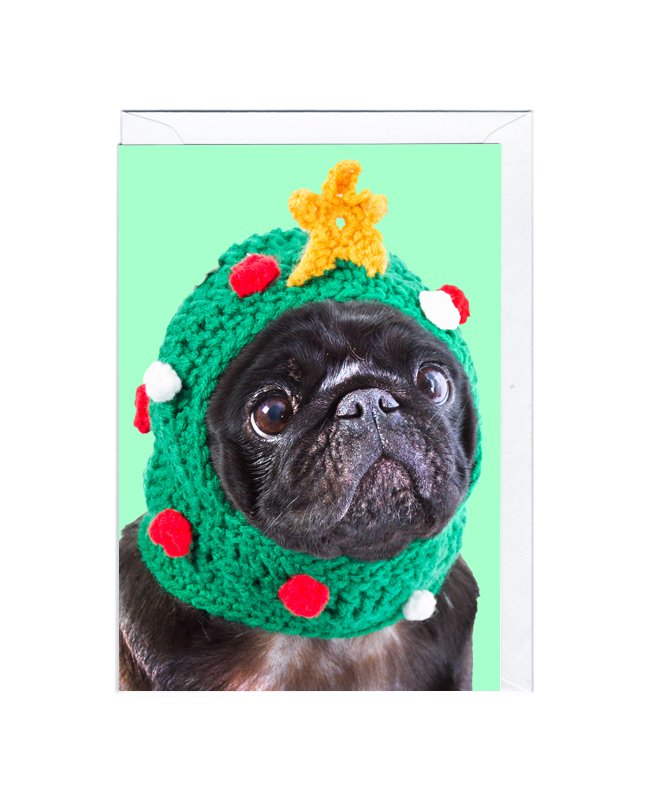 JP2009 PUG XMAS