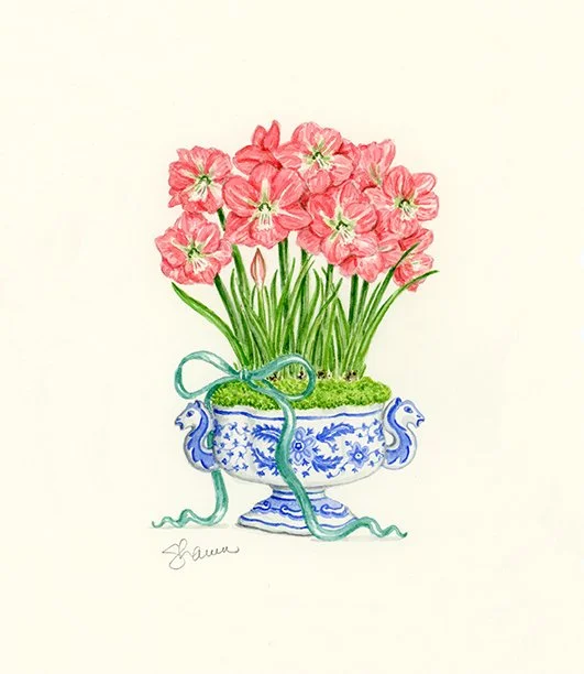 Coral Amaryllis original watercolor painting