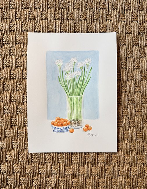 Paperwhites full_WEB.jpg