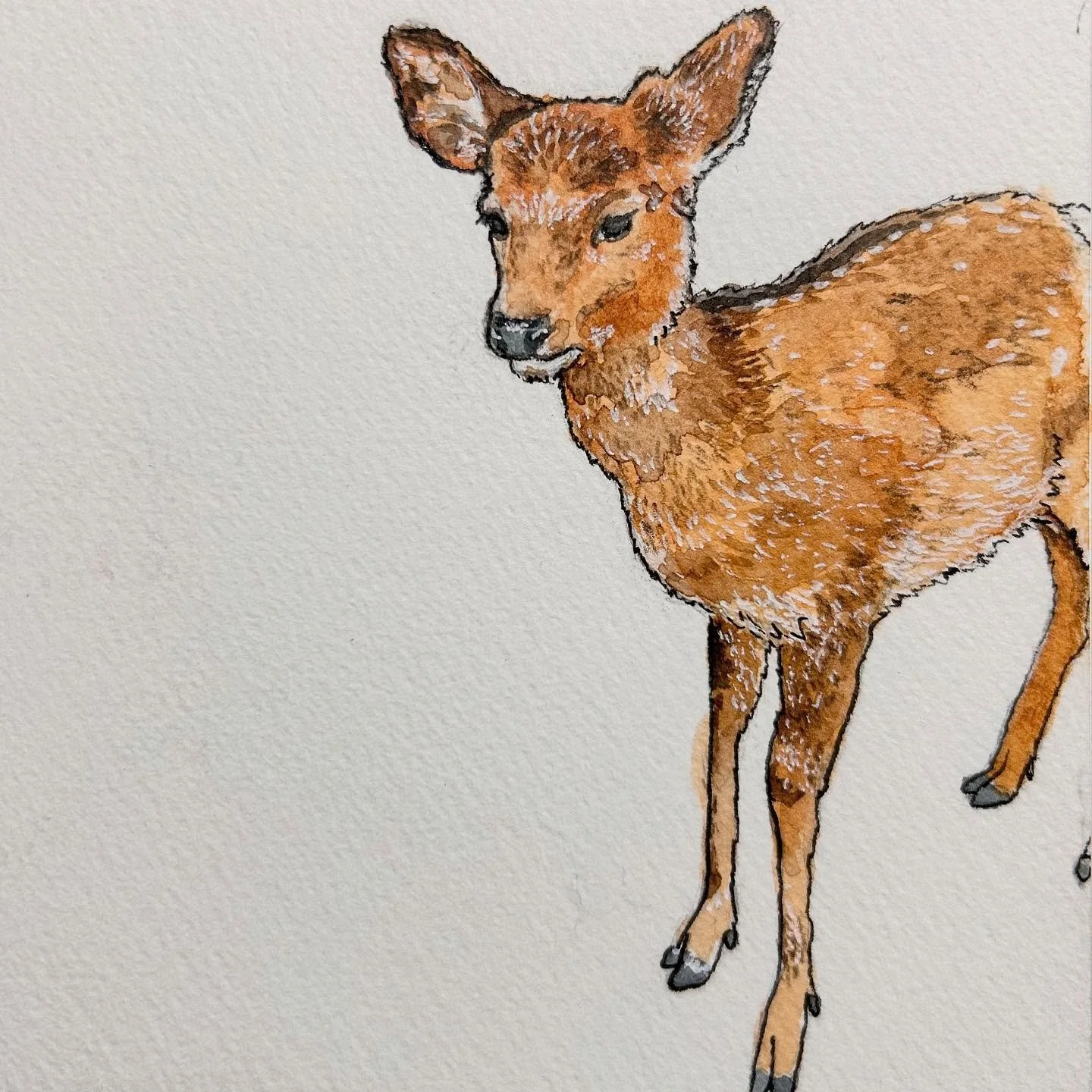 I had a day off today and went on a trip to Nara park with my girlfriend and her sister who were visiting from Tokyo. It was nice to take out my sketchbook after a long time to draw something. 

We first went to feed the deer in Nara park. The deer a