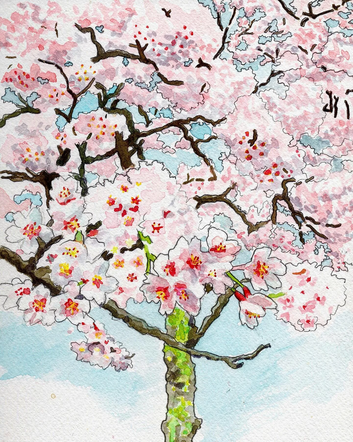 Cherry blossom season this year felt extra special due to experiencing it in both Kyoto and Tokyo. Kyoto is just gorgeous during the cherry blossom season. 

I always feel like it is supposed to last forever, but the blossoms only stay on the trees f