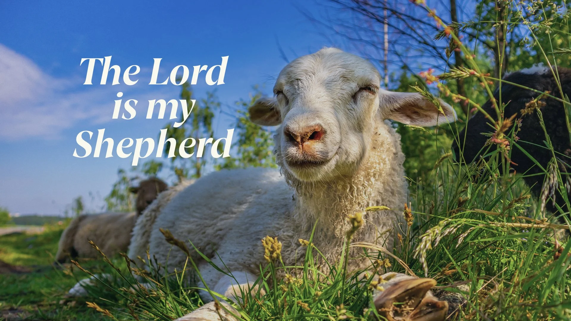 The Lord is my Shepherd