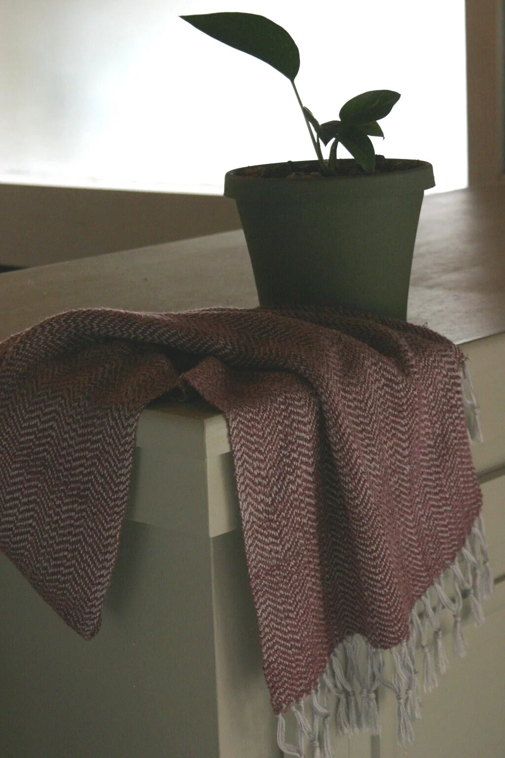 Pink Cloud with Silver Lining