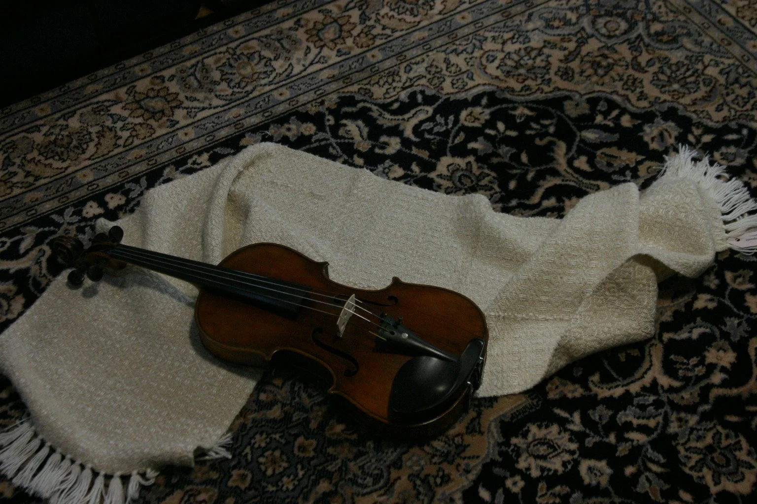 White-Gold Grasses Cradle the Moraine