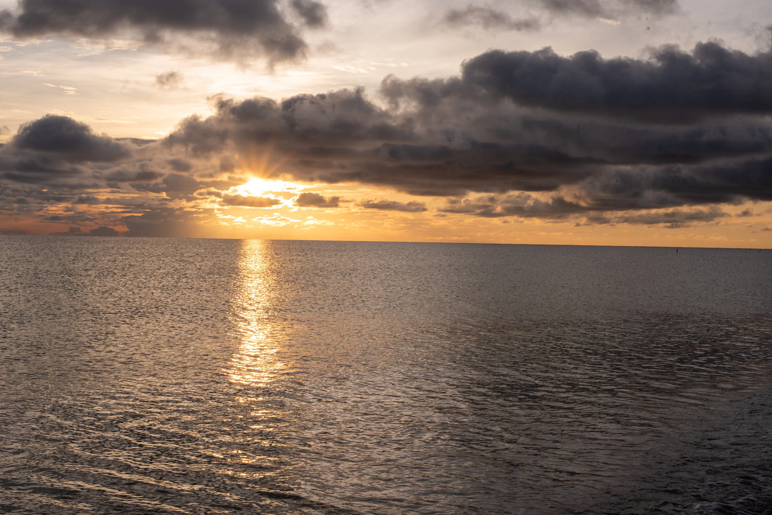 DSC_0509.jpg