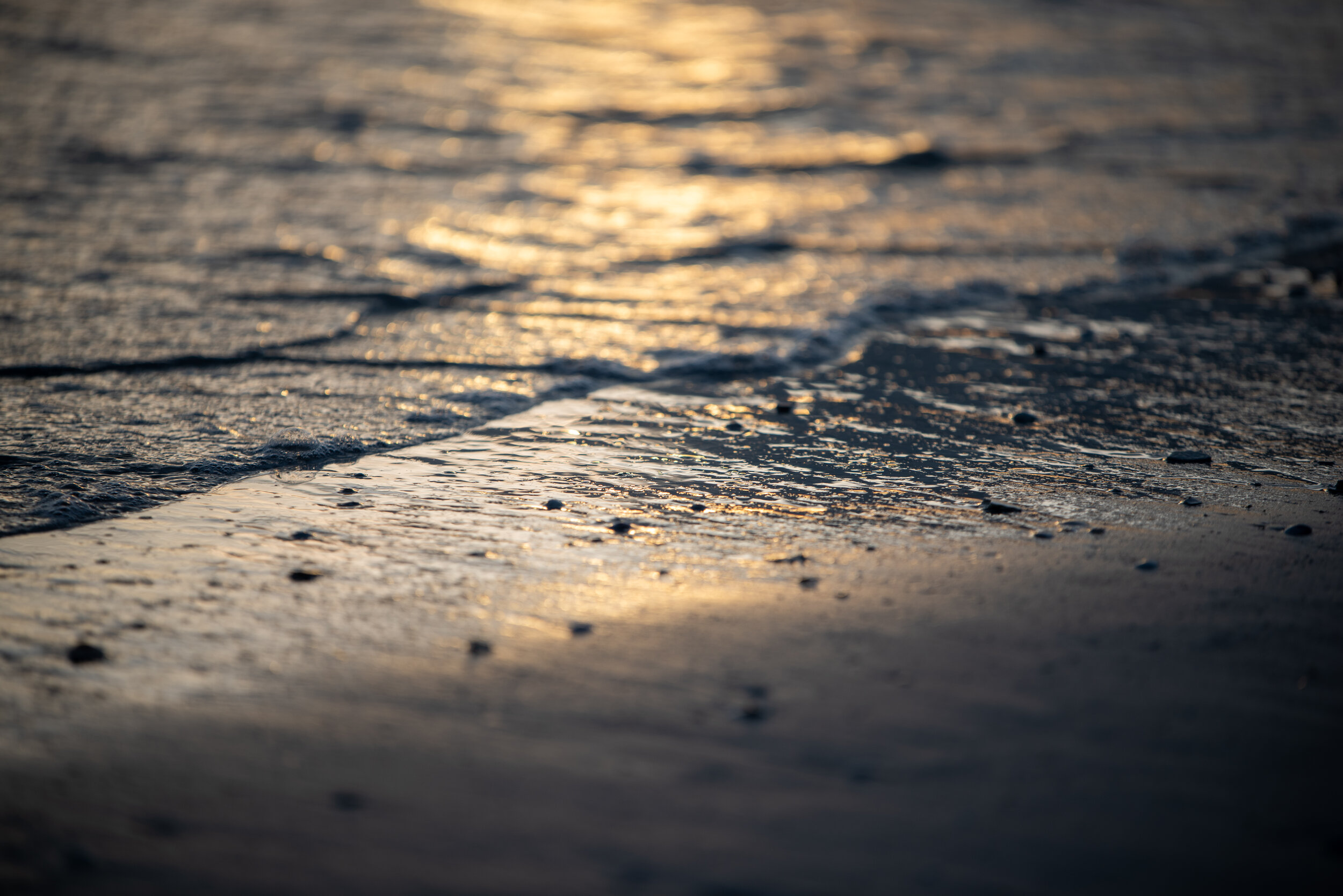 DSC_5680.jpg