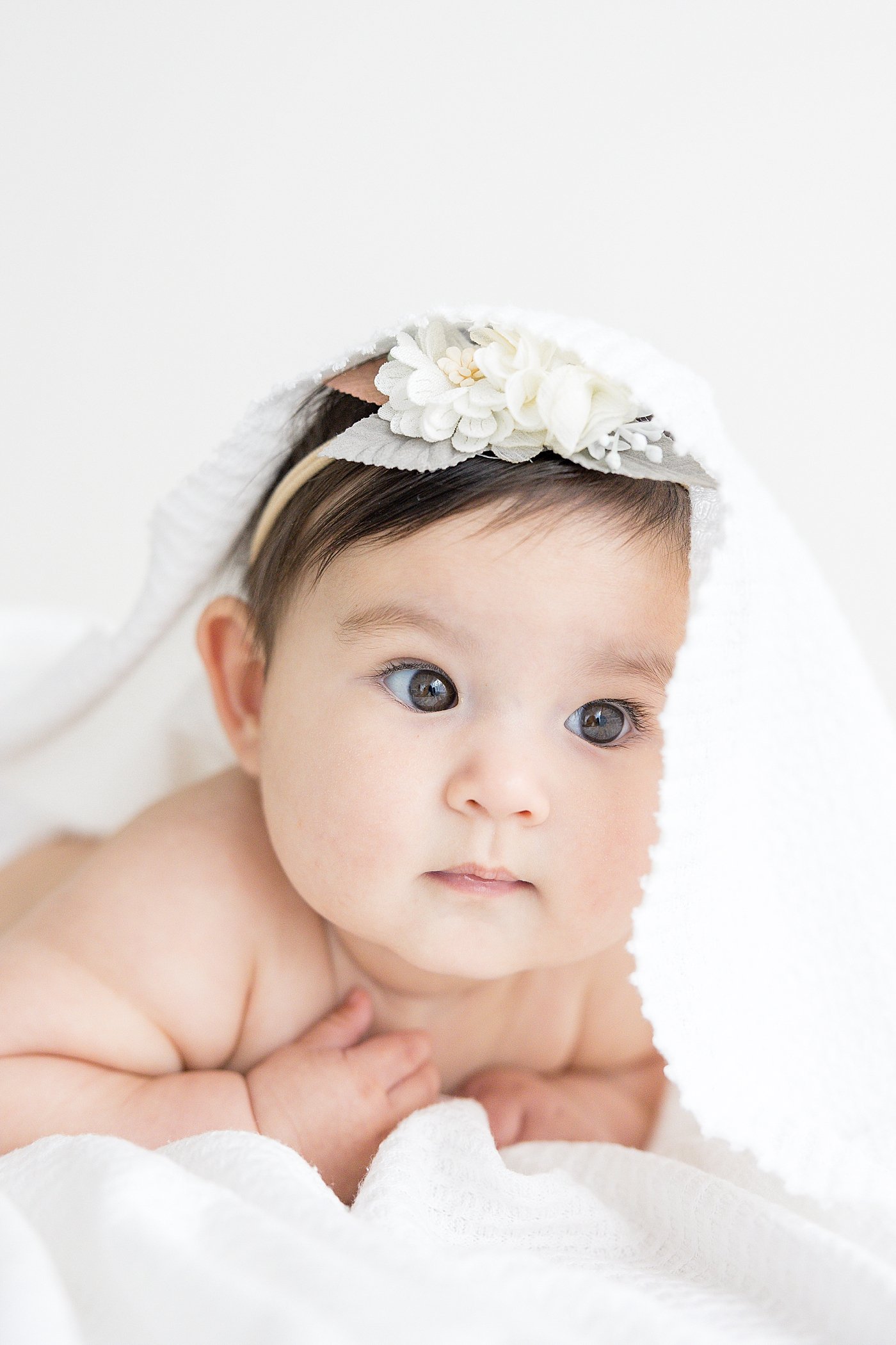 Six Month Baby Girl Portraits with Ambre Williams Photography