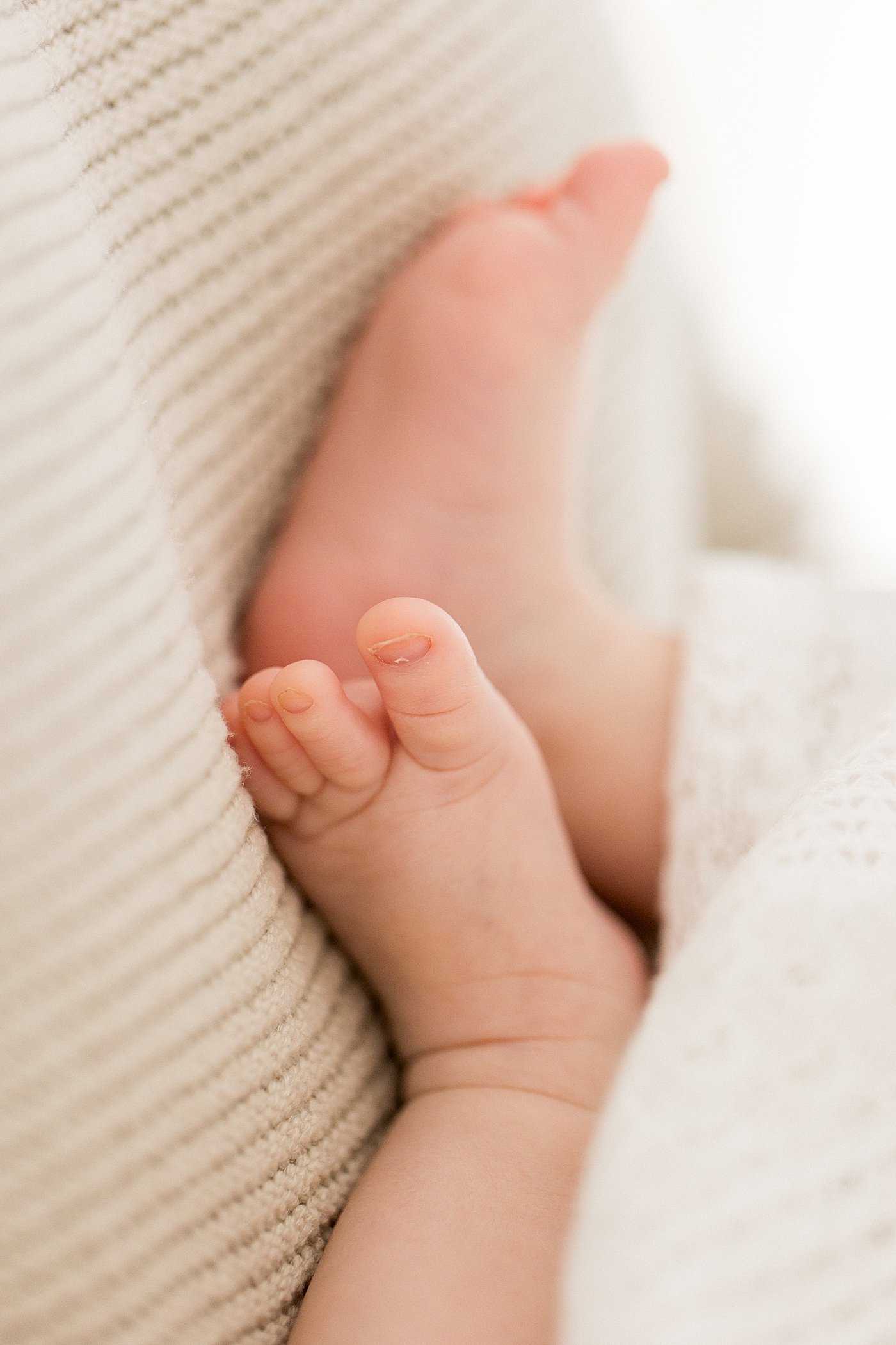 In Studio Newborn Session in Newport Beach | Ambre Williams Photography