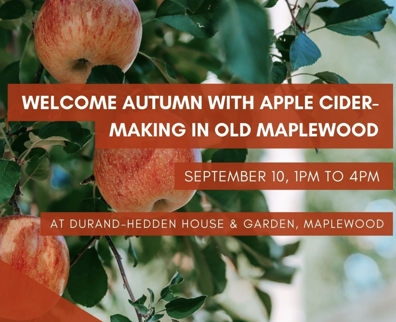 Apple Cider-Making in Old Maplewood