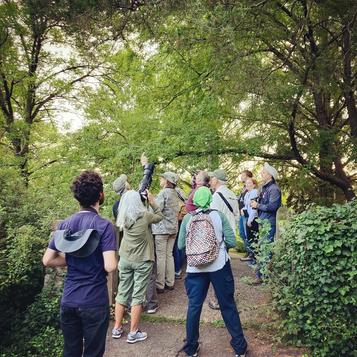 Birding with the Maplewood Memorial Park Conservancy