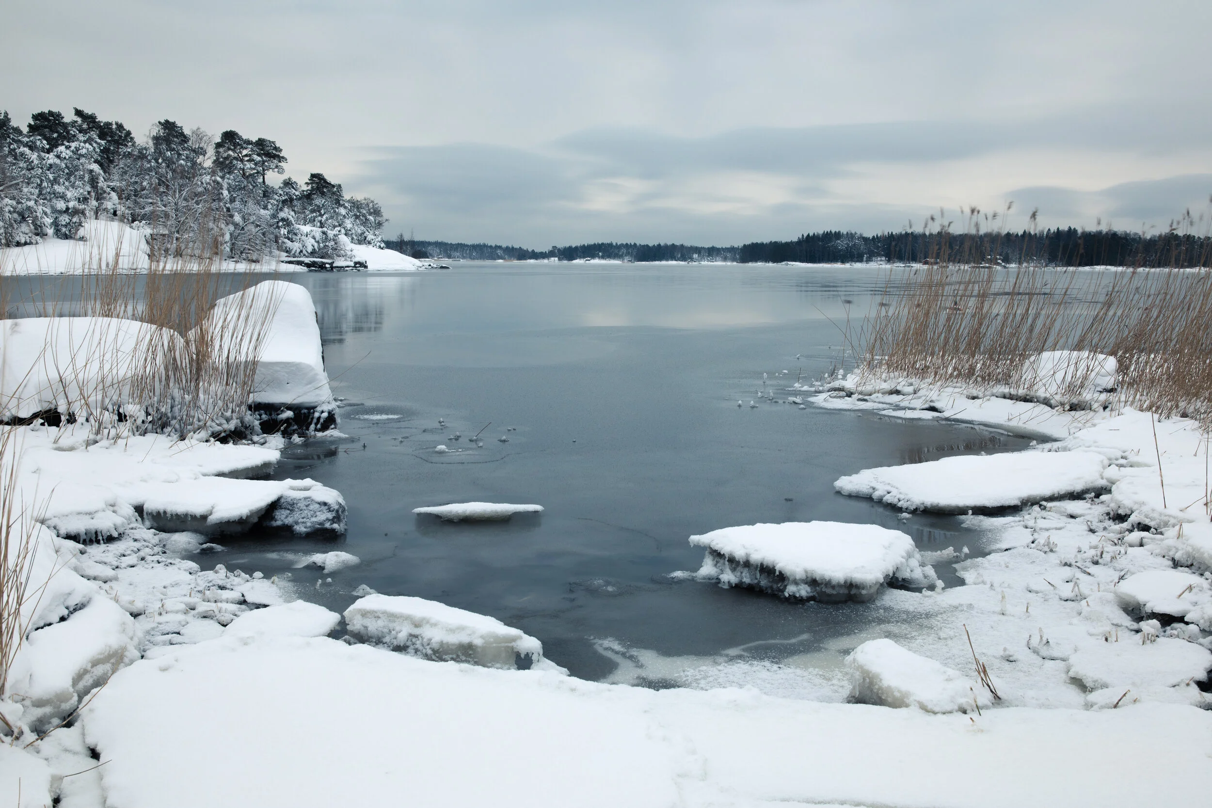 fimbulvinter.jpg