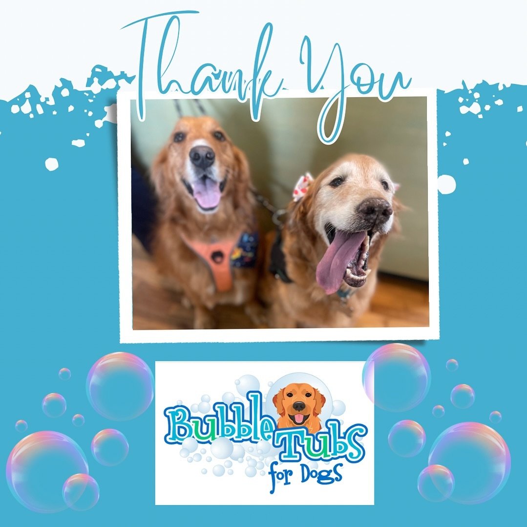 Big shoutout to Bubble Tubs Kennesaw for their incredible support at the Street Dog Dash 5K! 🐾✨ Your dedication to quality grooming makes tails wag and hearts happy. Thanks for helping us make a splash for our furry friends! 🛁💙 #BubbleTubsForDogs 