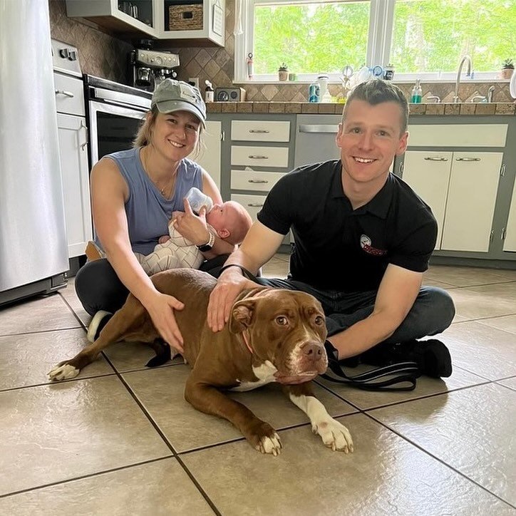 Exciting news from the Street Dog Dash 5K! 🎉🐶 Two adorable pups found their forever homes right from the event! 

Meet Daytona, who found love with Emily, and Lorraine, now part of Kindra and family&rsquo;s pack! 🏡❤️ Another reason why we dash for