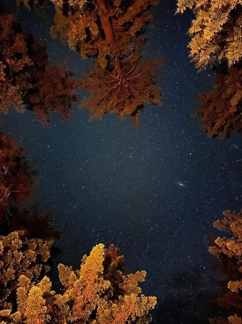 STARS.jpg