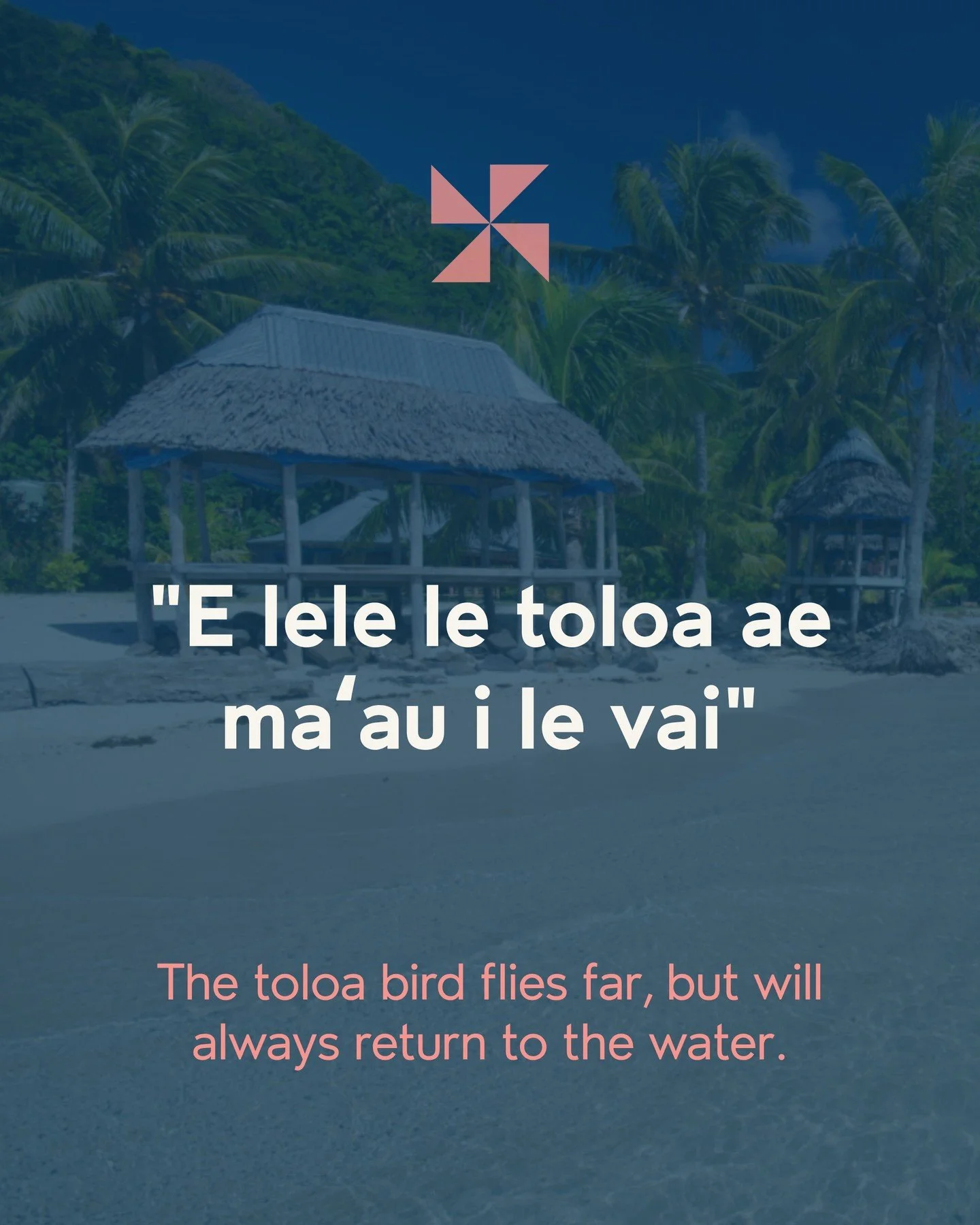 Big roots, big strength, big blessings 🌺

This Samoan Language Week, let&rsquo;s celebrate our gagana, our people, and the joy that connects us all 🇼🇸 🗣️