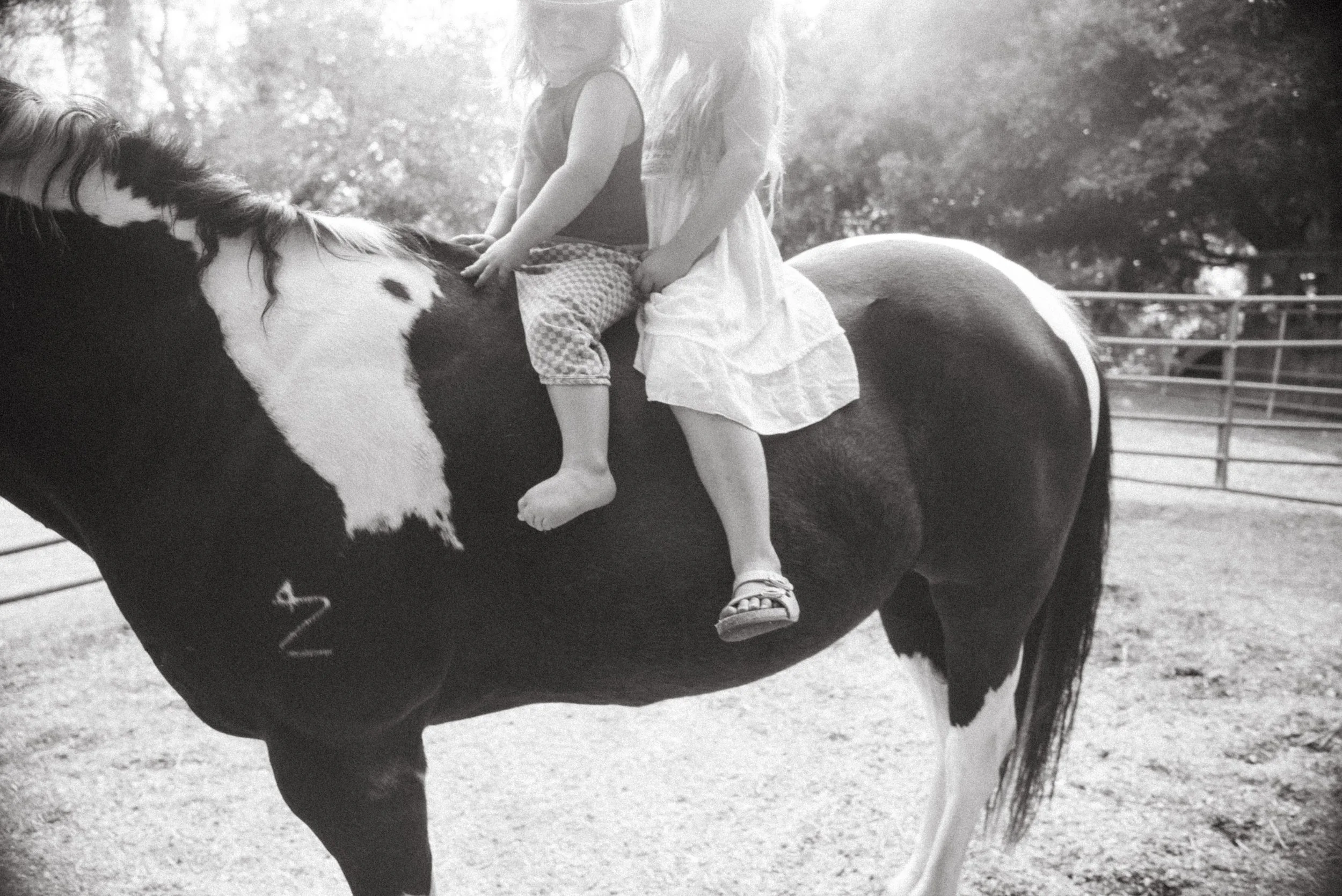 DSC08766.jpg