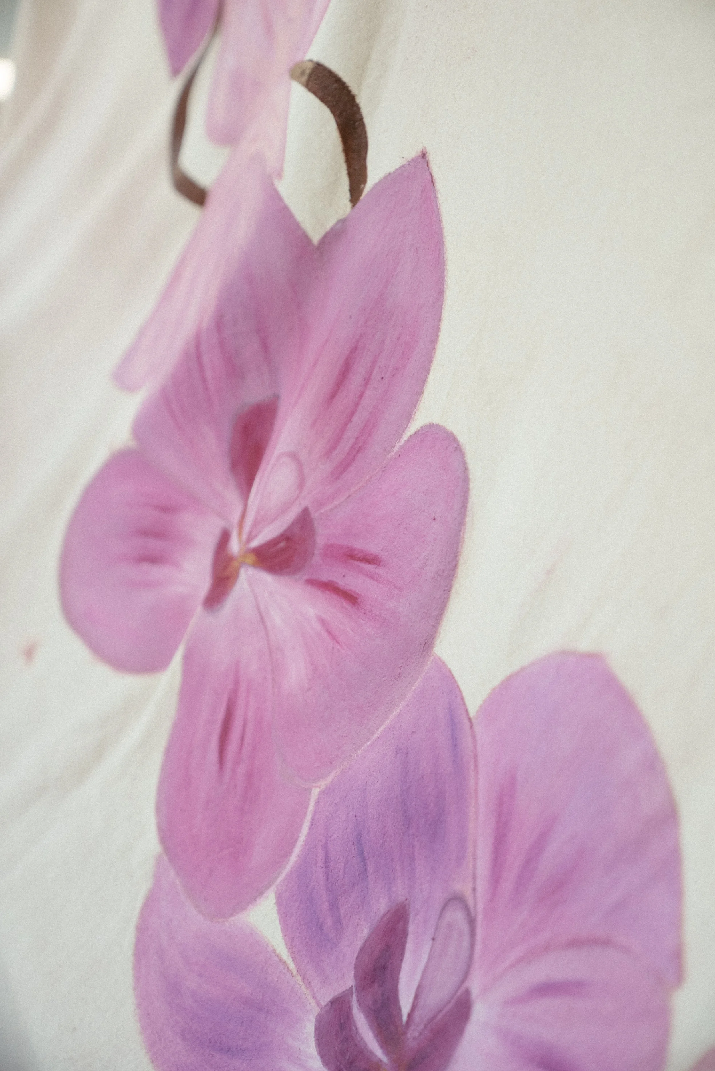 DSC00030.jpg