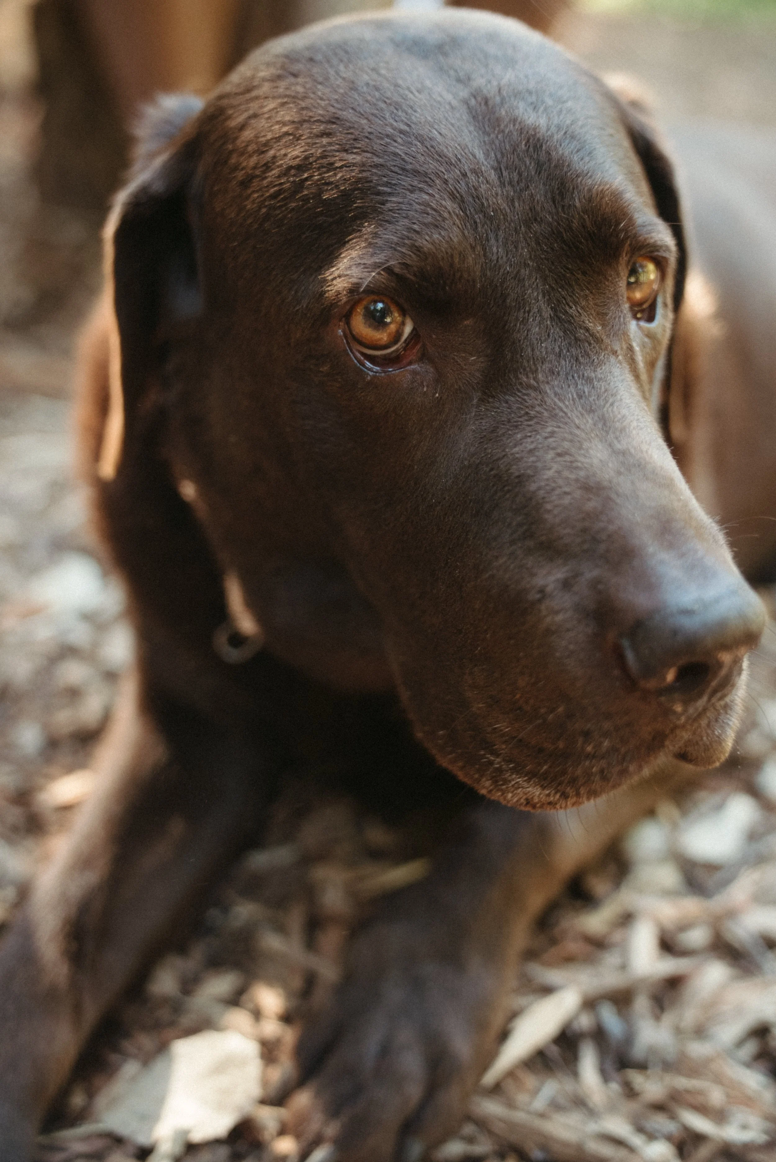 DSC07578.jpg