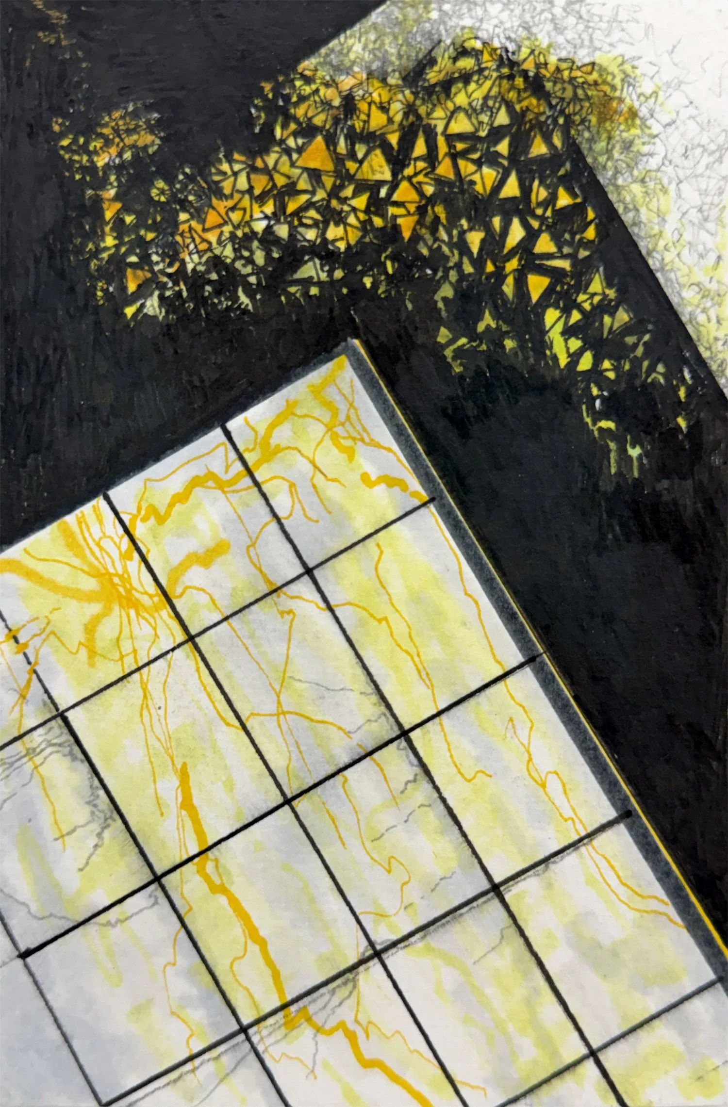 Untitled (from the series La Chimera del Oro)