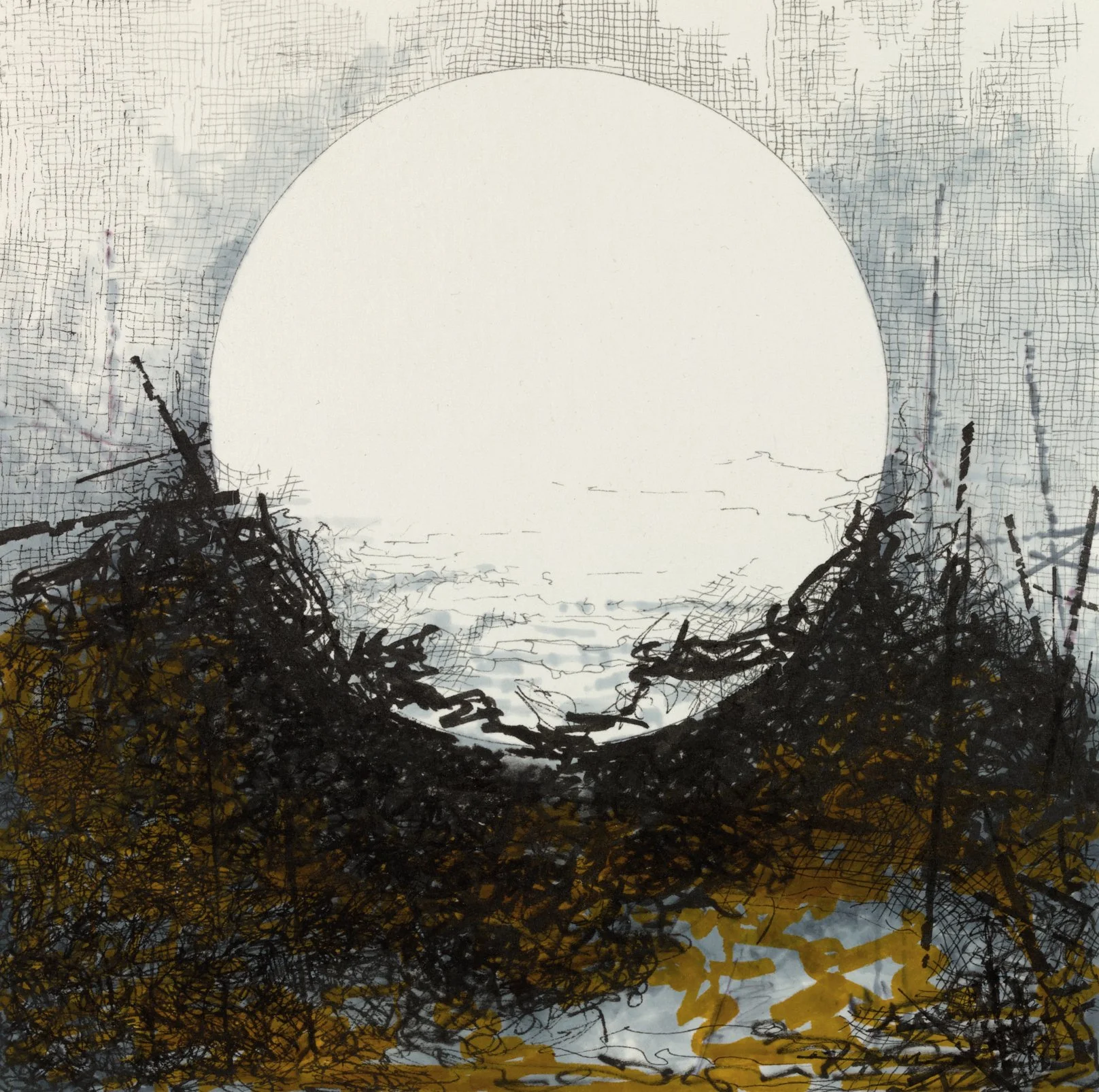 Untitled (from the series La Chimera del Oro)