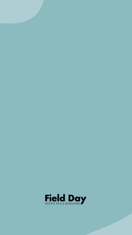 giphy (5).gif