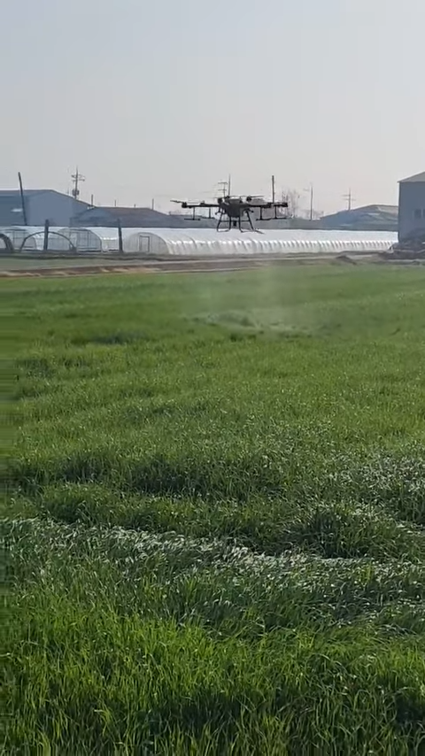 Drone spraying Biozest in Korea