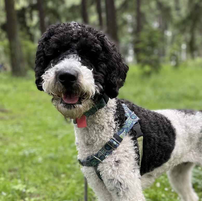 Screen Shot 2022-12-24 at 3.57.38 PM.png