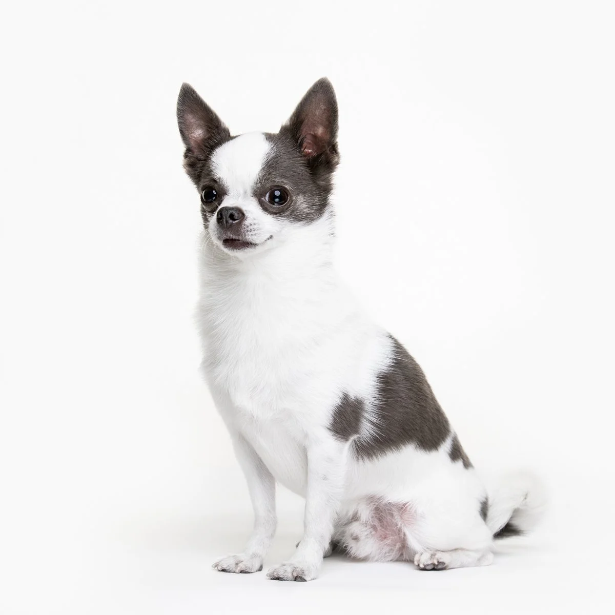 squarespace Remi@pauline_zonneveld.jpg