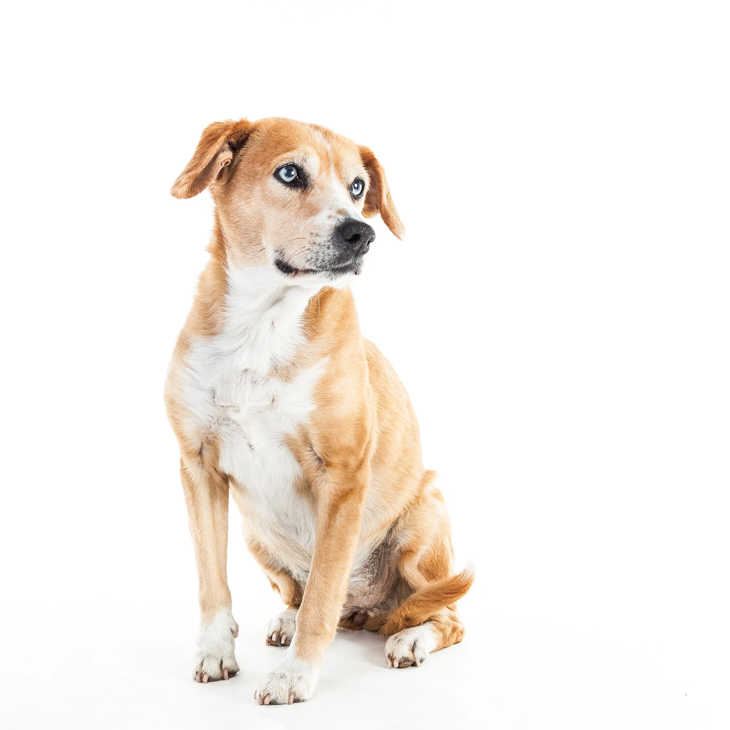 Squarespace IMG4708@pauline_zonneveld.jpg