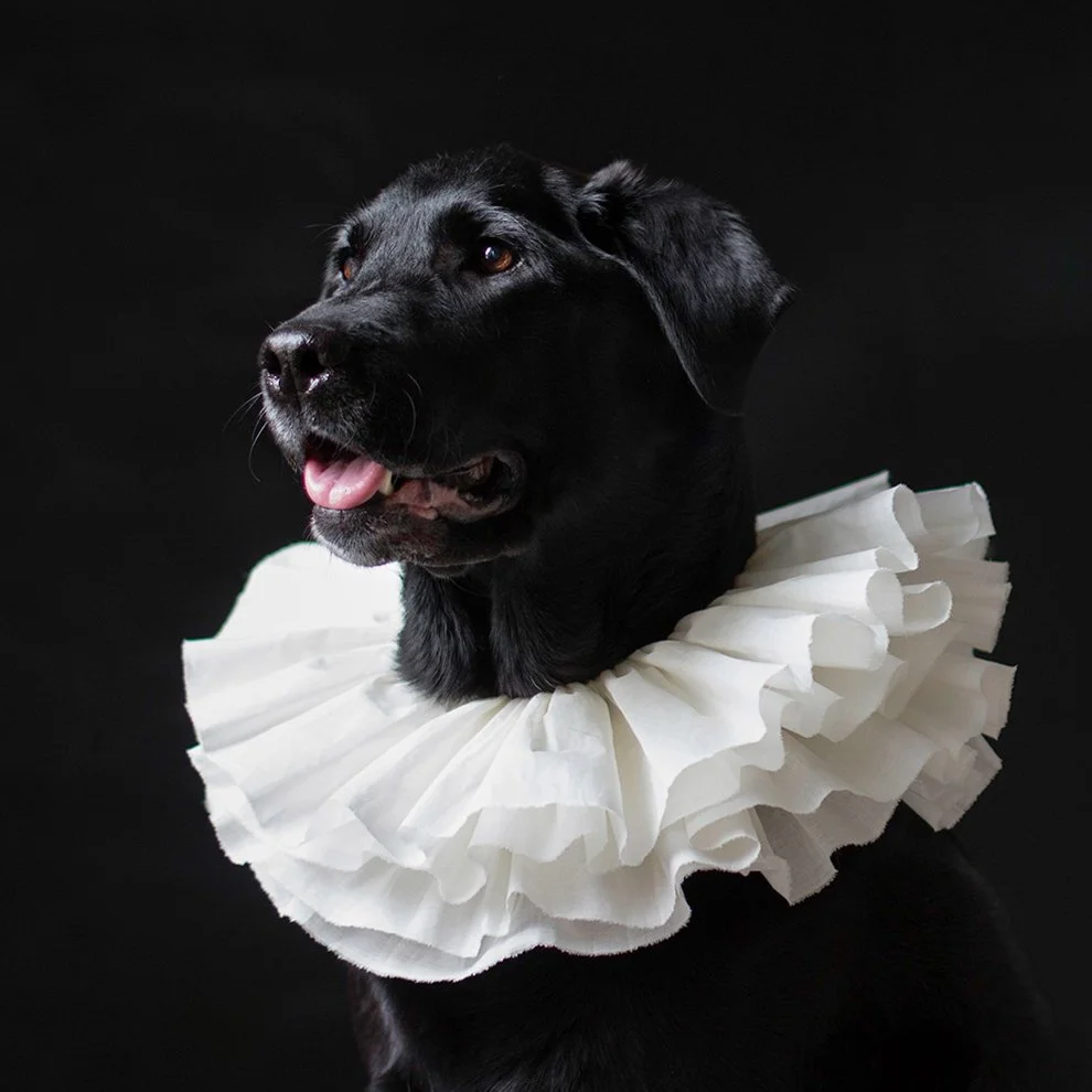 Squarespace Lucy©pauline_zonneveld cropped.jpg