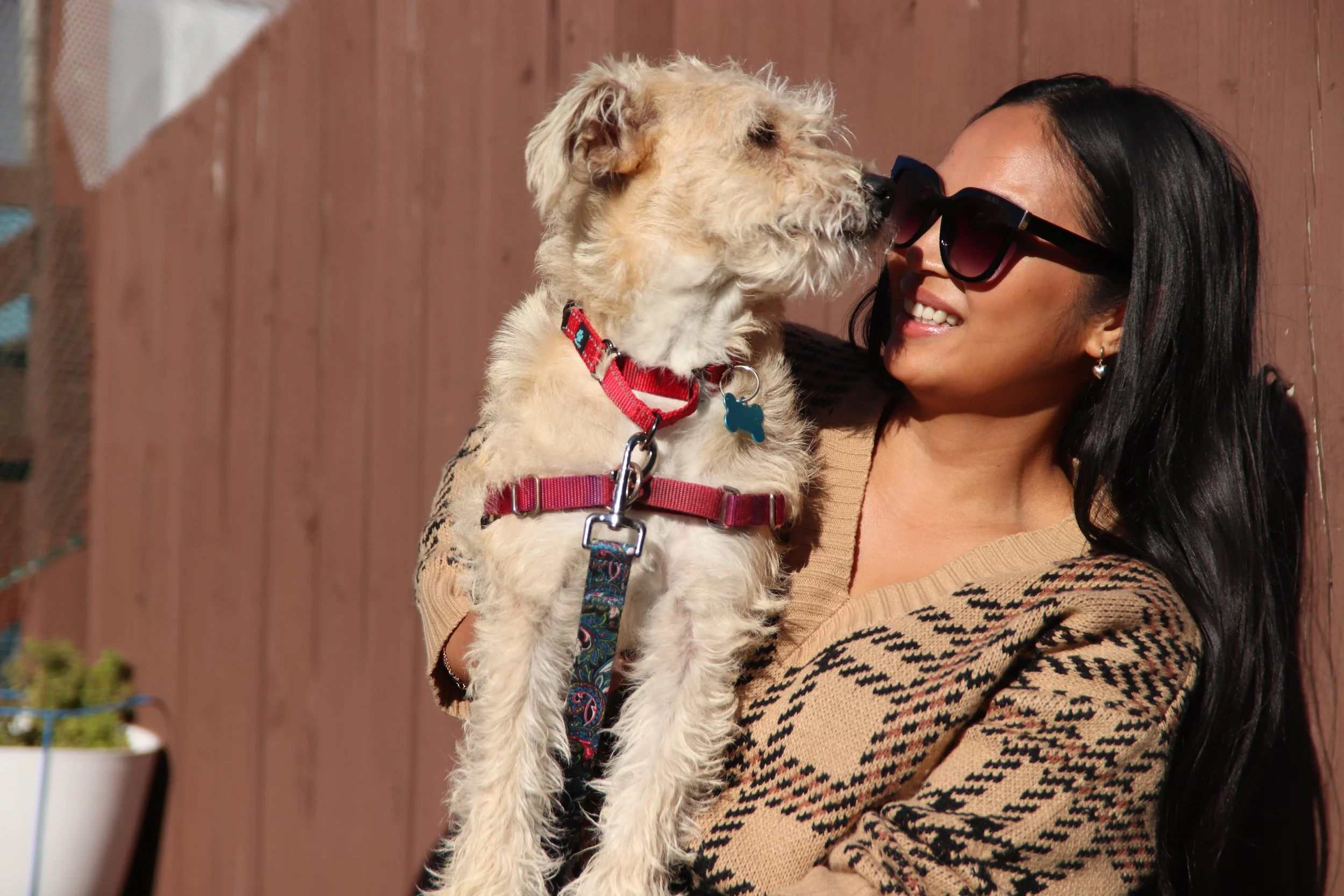 One Tail At A Time Dog Date Shoot