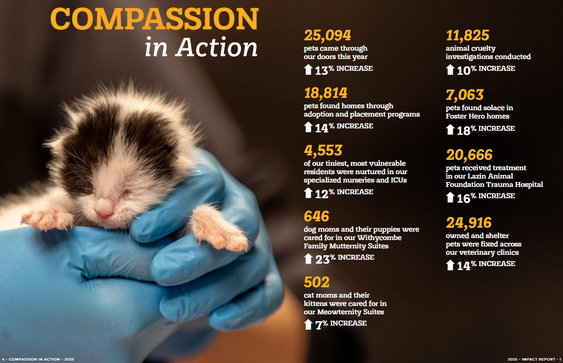 Annual Impact Reports