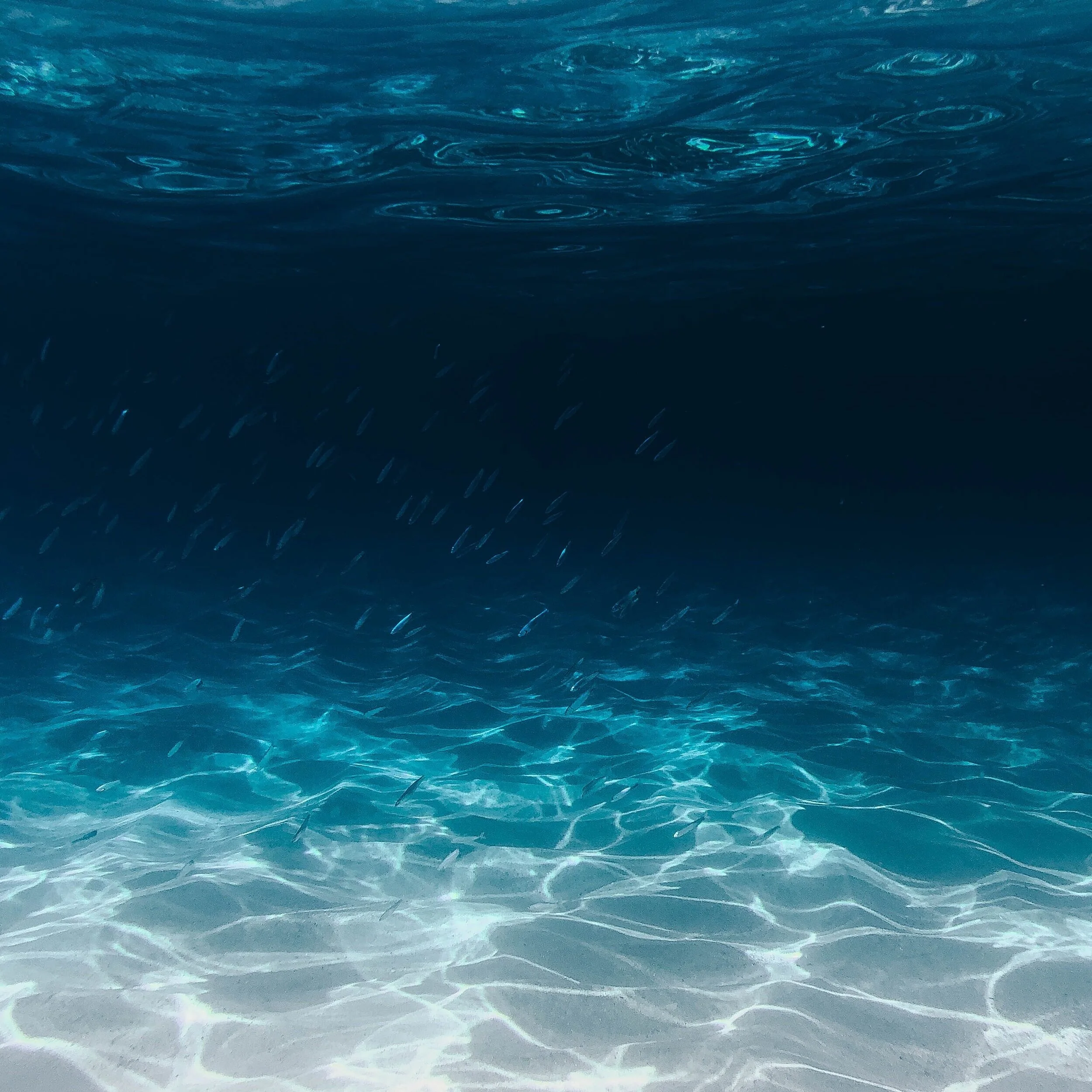 Full Moon in Pisces