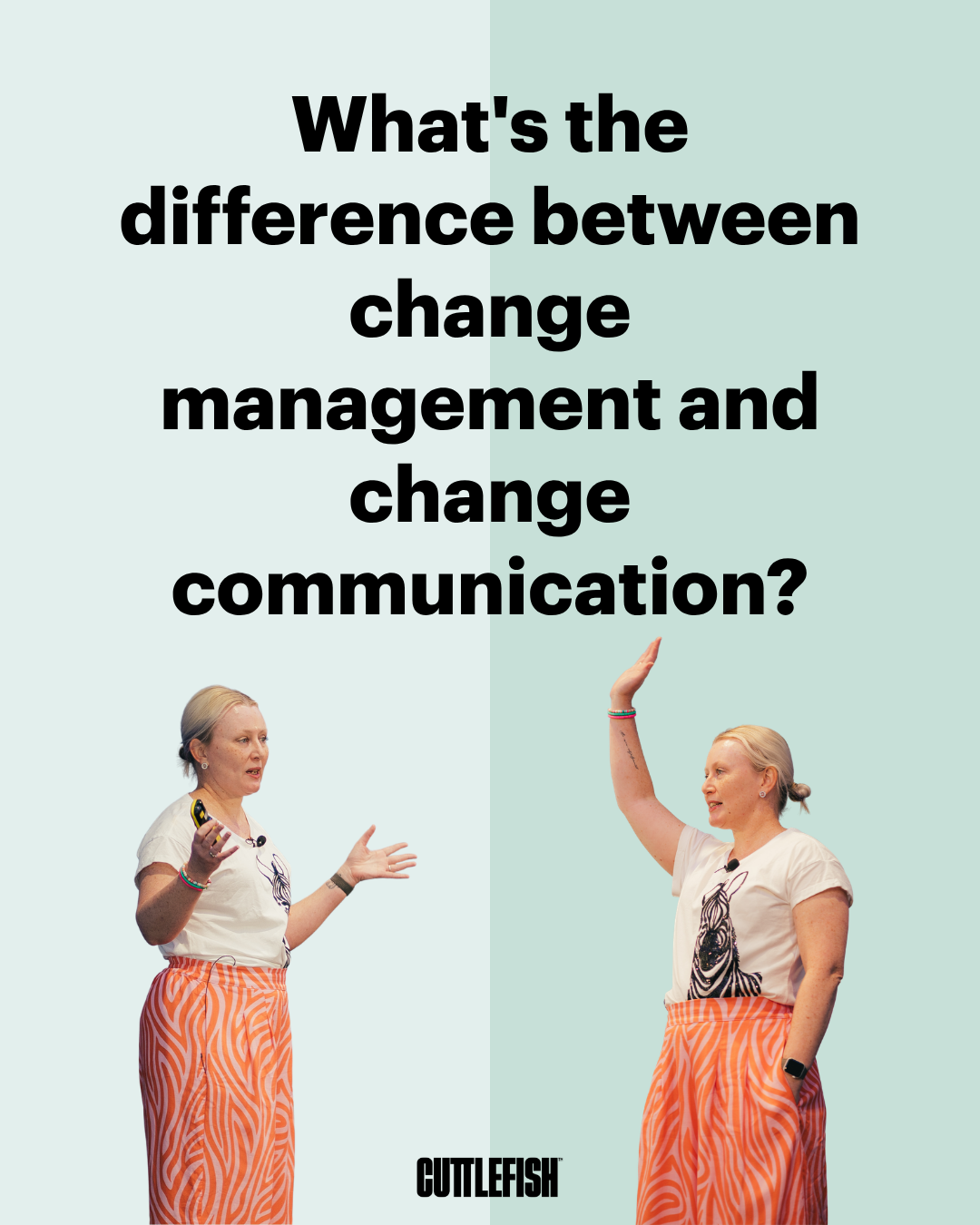 What's the difference between change management and change communication?