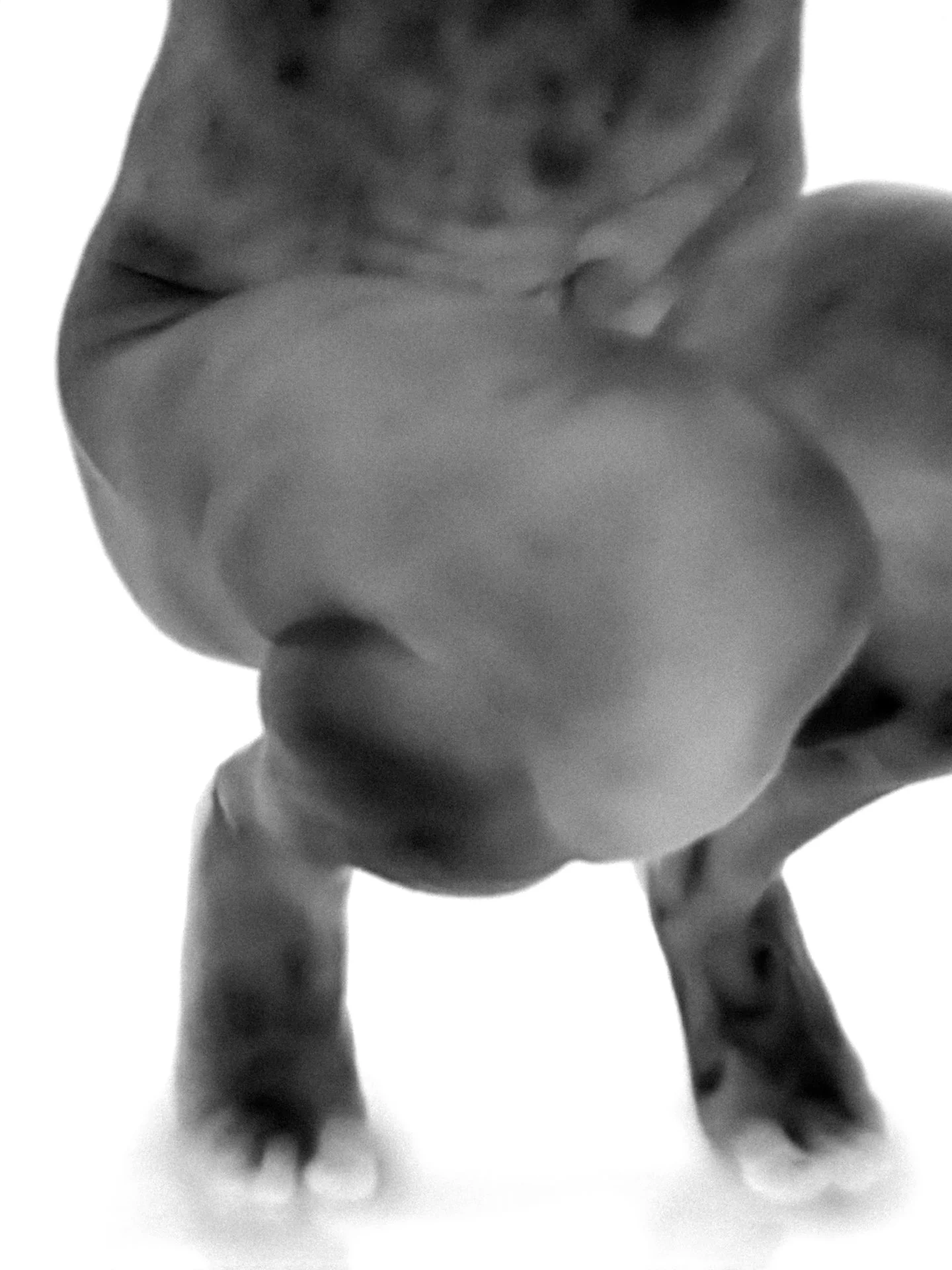 00001950-topaz-standard v2-4x.jpg