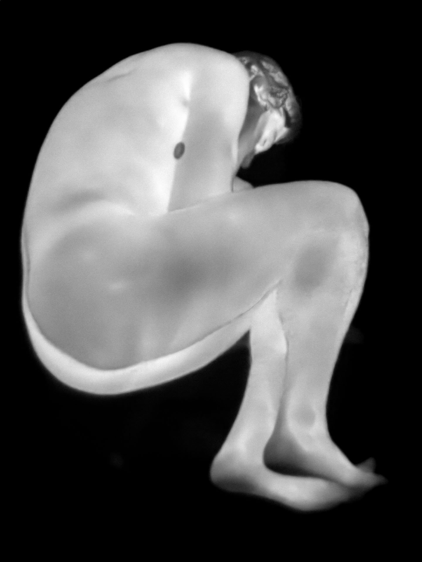 00000435-topaz-standard v2-4x_1.jpg