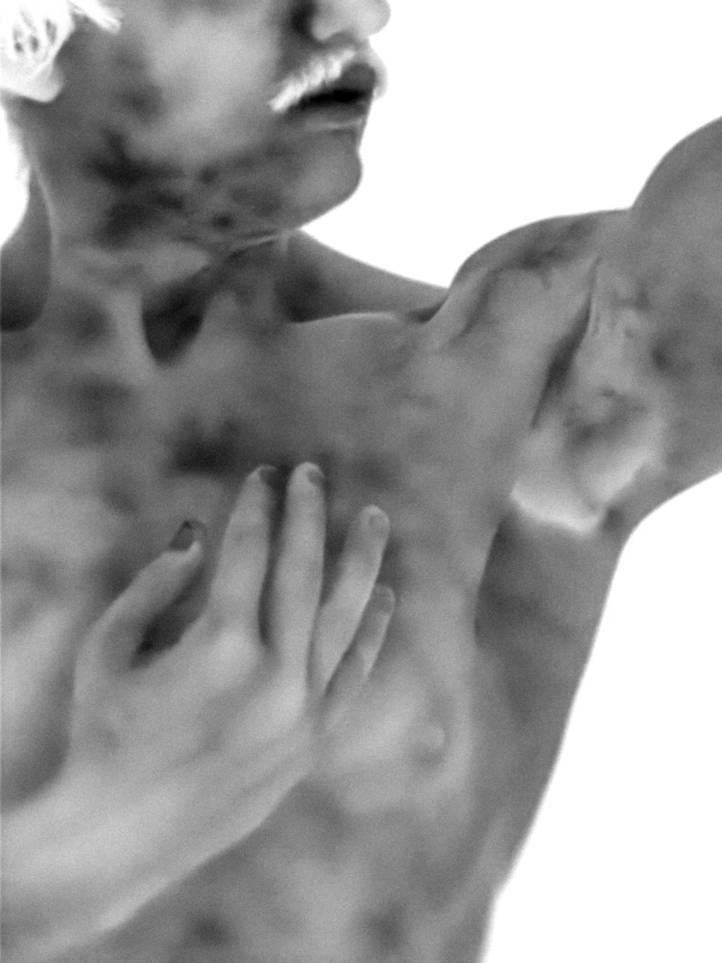 00002315-topaz-standard v2-4x.jpg