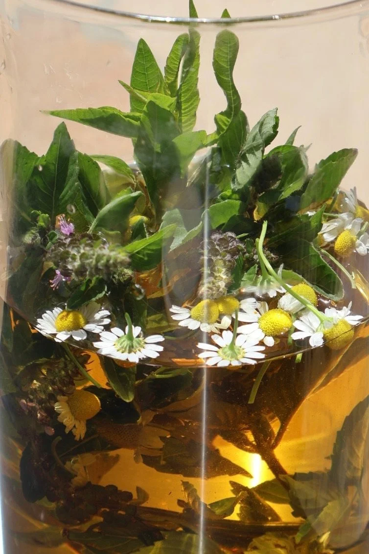how-to make an herbal infusion
