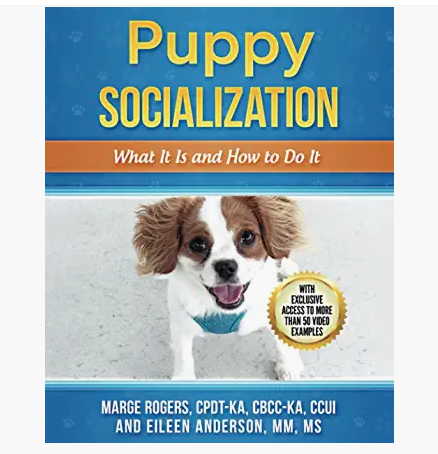 Puppy Socialization 
