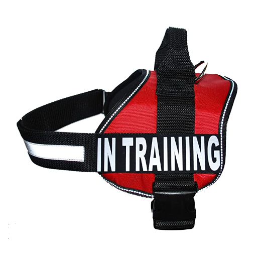 In-Training Harness