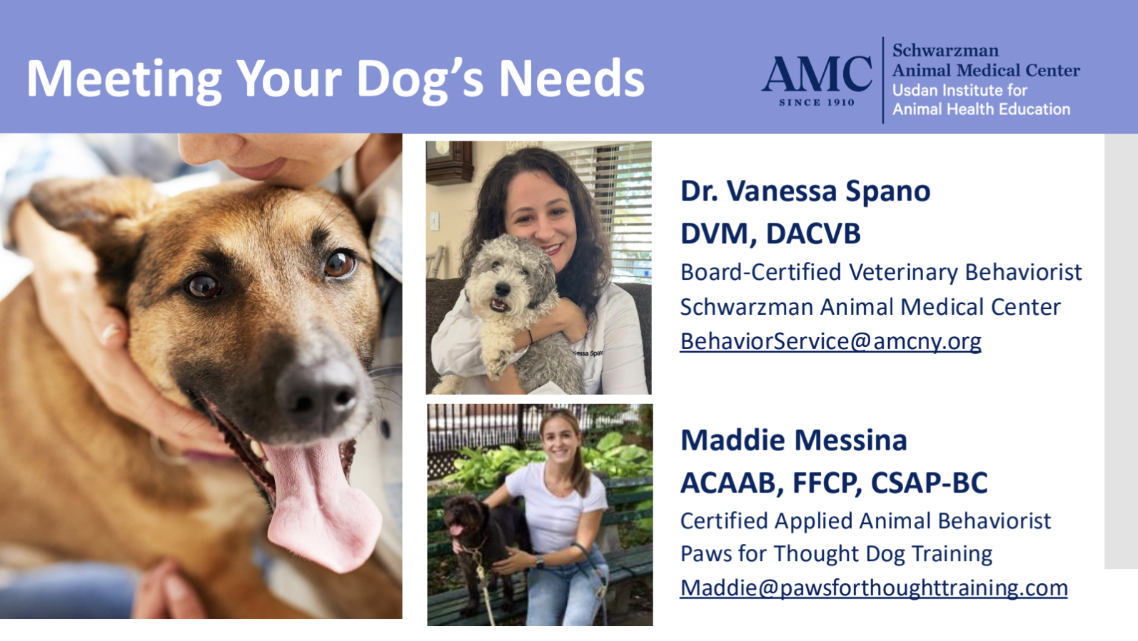 Is Your Dog "Misbehaving" Or Just Being a Dog?